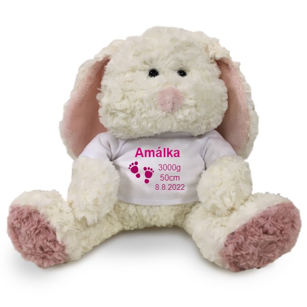 Medvídek Teddy s potiskem jméno miminka